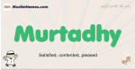 Murtadhy muslim boys name and meaning, islamic boys name Murtadhy