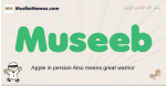 Museeb muslim boys name and meaning, islamic boys name Museeb