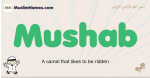 Mushab muslim boys name and meaning, islamic boys name Mushab
