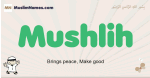 Mushlih muslim boys name and meaning, islamic boys name Mushlih