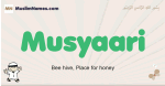Musyaari muslim boys name and meaning, islamic boys name Musyaari