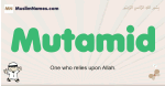 Mutamid muslim boys name and meaning, islamic boys name Mutamid