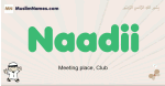 Naadii muslim boys name and meaning, islamic boys name Naadii