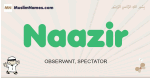 Naazir muslim boys name and meaning, islamic boys name Naazir