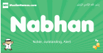 Nabhan arabic boys name and meaning, quranic boys name Nabhan