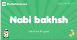 Nabi-bakhsh arabic boys name and meaning, quranic boys name Nabi-bakhsh