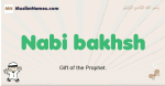 Nabi-bakhsh muslim boys name and meaning, islamic boys name Nabi-bakhsh
