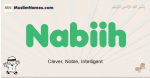 Nabiih muslim boys name and meaning, islamic boys name Nabiih