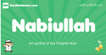 Nabiullah arabic boys name and meaning, quranic boys name Nabiullah