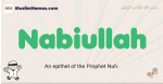 Nabiullah muslim boys name and meaning, islamic boys name Nabiullah