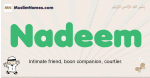 Nadeem muslim boys name and meaning, islamic boys name Nadeem