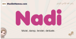 Nadi muslim girls name and meaning, islamic girls name Nadi
