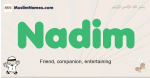 Nadim muslim boys name and meaning, islamic boys name Nadim