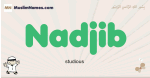 Nadjib muslim boys name and meaning, islamic boys name Nadjib