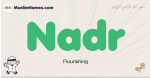 Nadr muslim boys name and meaning, islamic boys name Nadr
