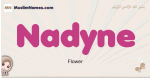 Nadyne muslim girls name and meaning, islamic girls name Nadyne