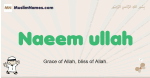 Naeem-ullah muslim boys name and meaning, islamic boys name Naeem-ullah