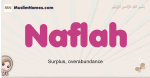 Naflah muslim girls name and meaning, islamic girls name Naflah