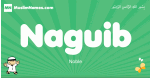 Naguib arabic boys name and meaning, quranic boys name Naguib