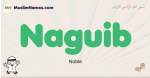 Naguib muslim boys name and meaning, islamic boys name Naguib