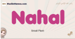 Nahal muslim girls name and meaning, islamic girls name Nahal