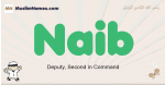 Naib muslim boys name and meaning, islamic boys name Naib