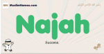 Najah muslim boys name and meaning, islamic boys name Najah