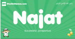 Najat arabic boys name and meaning, quranic boys name Najat