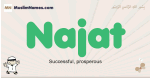Najat muslim boys name and meaning, islamic boys name Najat