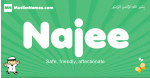 Najee arabic boys name and meaning, quranic boys name Najee