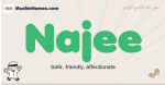 Najee muslim boys name and meaning, islamic boys name Najee