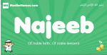 Najeeb arabic boys name and meaning, quranic boys name Najeeb