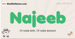 Najeeb muslim boys name and meaning, islamic boys name Najeeb