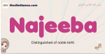 Najeeba muslim girls name and meaning, islamic girls name Najeeba