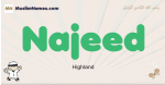 Najeed muslim boys name and meaning, islamic boys name Najeed