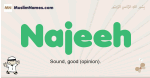Najeeh muslim boys name and meaning, islamic boys name Najeeh