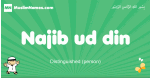 Najib-ud-din arabic boys name and meaning, quranic boys name Najib-ud-din