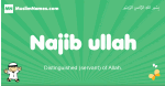 Najib-ullah arabic boys name and meaning, quranic boys name Najib-ullah