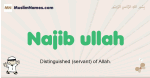 Najib-ullah muslim boys name and meaning, islamic boys name Najib-ullah