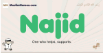 Najid muslim boys name and meaning, islamic boys name Najid
