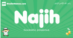 Najih arabic boys name and meaning, quranic boys name Najih