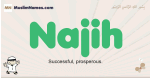 Najih muslim boys name and meaning, islamic boys name Najih