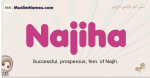 Najiha muslim girls name and meaning, islamic girls name Najiha