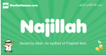 Najillah arabic boys name and meaning, quranic boys name Najillah