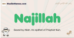 Najillah muslim boys name and meaning, islamic boys name Najillah