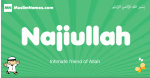 Najiullah arabic boys name and meaning, quranic boys name Najiullah