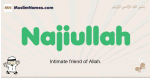 Najiullah muslim boys name and meaning, islamic boys name Najiullah
