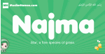 Najma arabic girl name and meaning, quranic girls name Najma