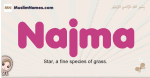 Najma muslim girls name and meaning, islamic girls name Najma