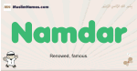 Namdar muslim boys name and meaning, islamic boys name Namdar